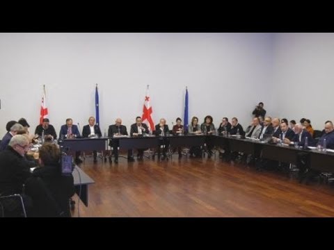 რა გეგმა აქვს ოპოზიციას