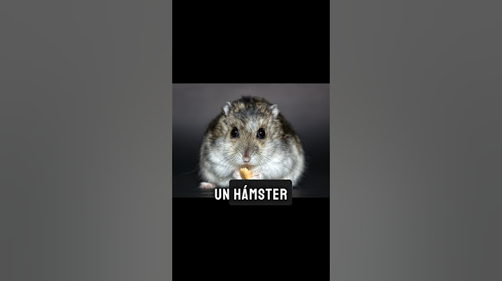 Así se ven los animales bostezando #shorts #animales