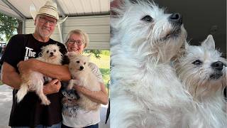 From Rags to Riches!!!    Kitchen Remodel Progress and New Babies, Daisy May and Ursula!