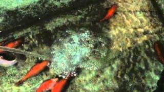 M2U03080-2.MPG