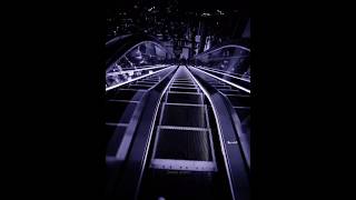 X remix - Nicky Jam x J Balvin | lyrics | Trending | Y No Te Voy A Negar 🎙️🐱👤🐱👤 |  #Lyrics