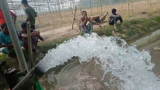 Marquis 5 Hp 4 Delivery Irrigation Pump মনট ২২০০ লটর পন মরকইস ৫ ঘড সচ পমপ