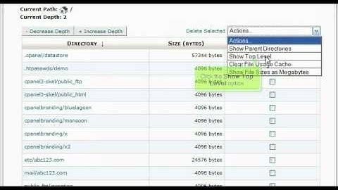 WebHosting Break Presents: Using the Disk Usage Viewer in cPanel