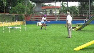 Dora AKC Novice Standard Q#3