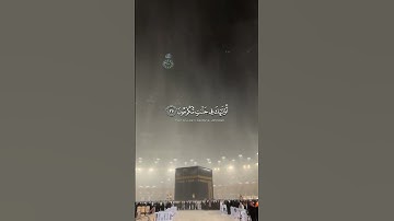 اكتب شيء تؤجر عليه 💝 #محمد_اللحيدان #الرحمن #تلاوة_خاشغة