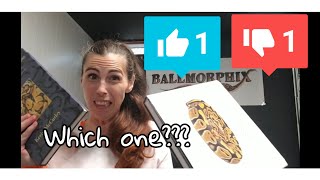 Ball Python Book Review