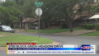 16-year-old sustains 'internal decapitation' after being struck in hit-and-run