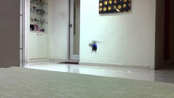 MCPx Brushless V1.MOV Ars17q