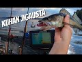 KUHAN JIGAUSTA SAIMAALLA | 2 PÄIVÄÄ | JIGGING FOR ZANDER