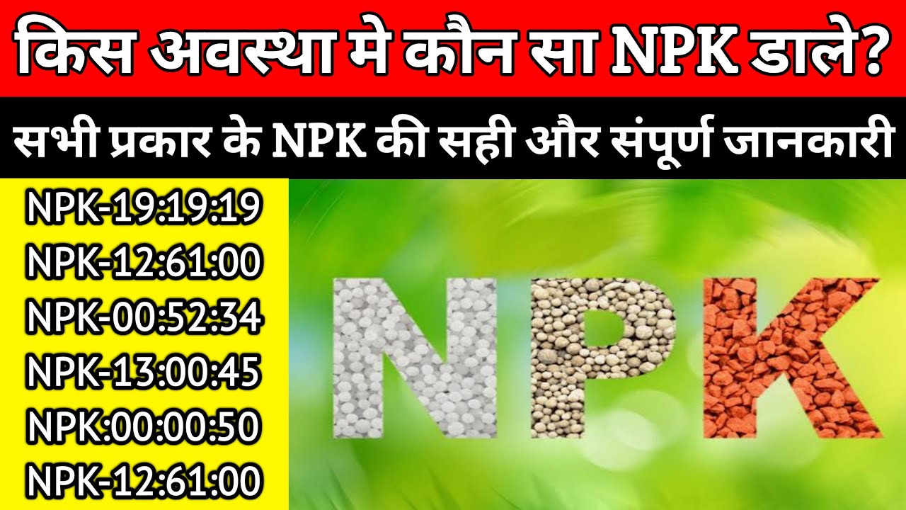 All TYPES NPK | WATER SOLUBLE FERTILIZER | NPK 