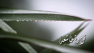 آواخر سورة الحشر .. القارئ ( وديع اليمني )
