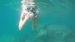 Ilha Grande snorkeling - Vila Pedra Mar