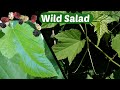 Mulberry Leaves and Grape Tendrils - Foraging A Wild Salad in the City