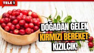Devrekli Kadın Girişimcilerinin Emekleri Tele1De Böyle Anlattılar Sağlik Gündemi̇ 17 Şubat 2026