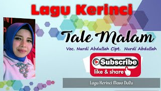 LAGU KERINCI PALING POPULER | TALE MALAM | NURDI ABDULLAH