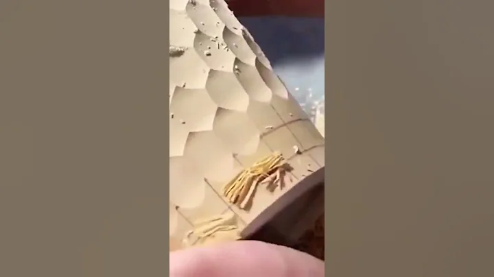 Satisfying and creative videos #shorts #satisfying