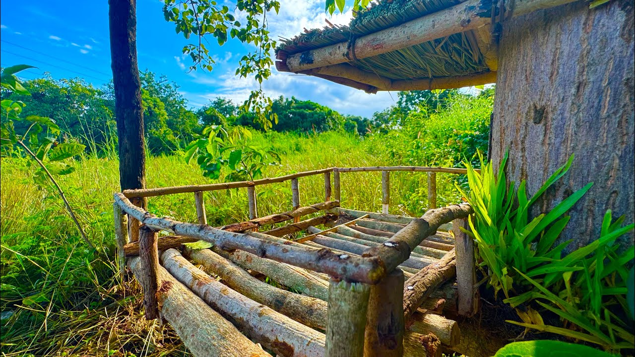 Build a tree hut. life With Nature 