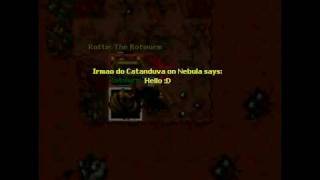 Rottie The Rotworm Owned - rookgaard