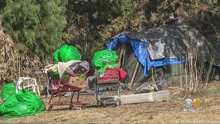 San Jose Pays Homeless to Clean Up Camps