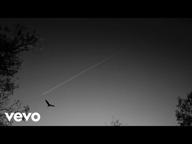 Joep Beving - Ala