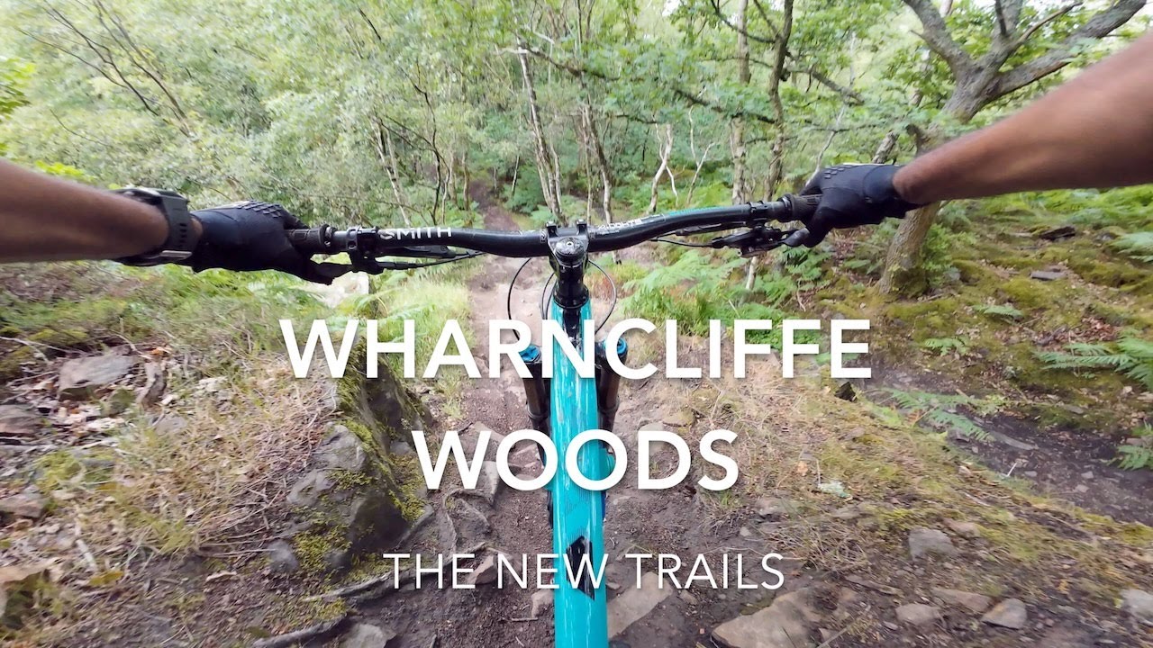 Wharncliffe Woods - some of the new trails - perfect conditions !   4K