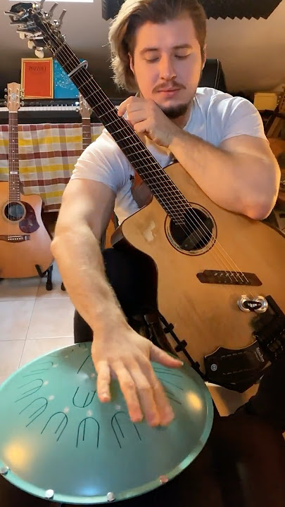 TITANIC on Steel Drum & Guitar (Alex Misko)