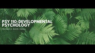 Psy 110-Developmental-Chapter 5-Valley