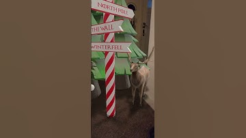 Christmas Card in Adobe Aero