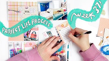 Project Life Process 2022- Week 37