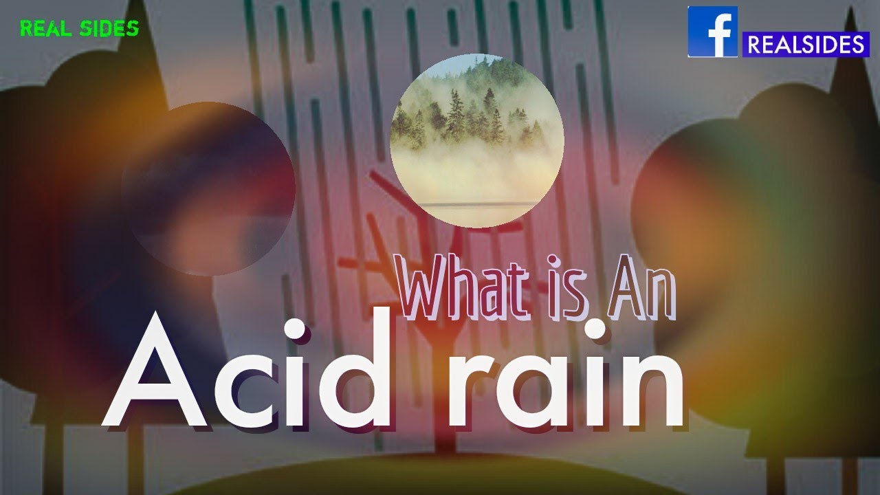 Acid rain | What is Acid rain | causes of Acid rain | Real sides | RS