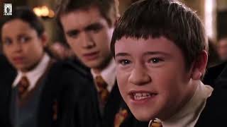 Celebrity Meet Actors from Harry Potter - Devon Murray - Natalia Tena - Comic Con Baltics 2024 Wealth