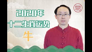 2020年屬牛事業、財源、感情運勢全面詳解！新的壹年，好運是否屬妳最牛？A comprehensive understanding of the zodiac ox fortune in 2020!