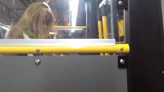 (PART 2) TTC NovaBUS LFS #3127 VISION | Ride on Route 195 Jane Rocket
