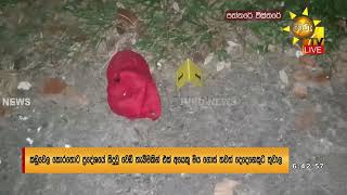 නව වසර පළම වඩලල කඩවල කරතටන - එක අයක මය ගස තවත දදනකට තවල - Hiru News