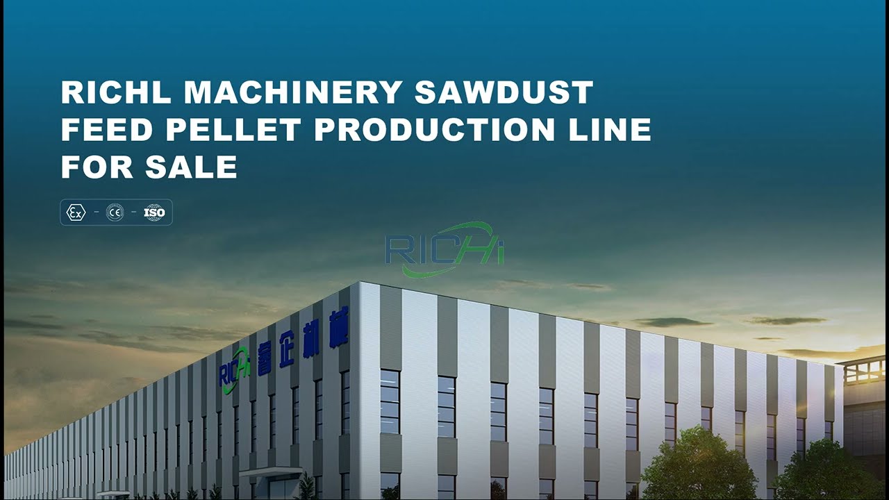 Wood Sawdust Pellet Production Line | High Efficiency Biomass Pellet Making Solution