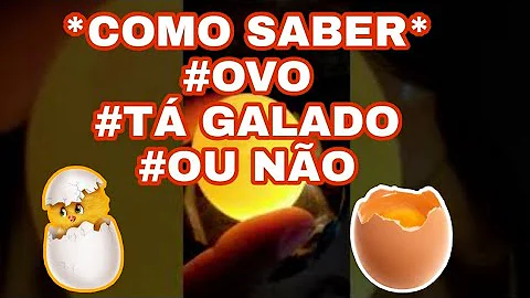 Qual a diferença de um ovo galado para um não galado?