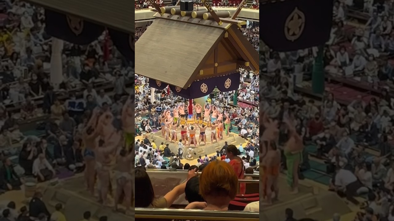 You HAVE to go to a sumo tournament in Japan! 🇯🇵 PART ONE
