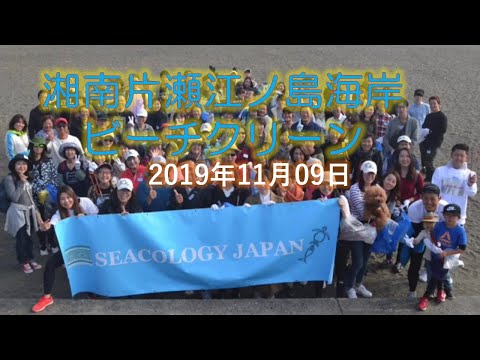 湘南片瀬江ノ島海岸ビーチクリーン 20191109