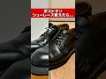【ポストマン】シューレース替えたら…！？
