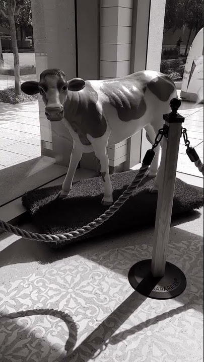 Ghost Cow
