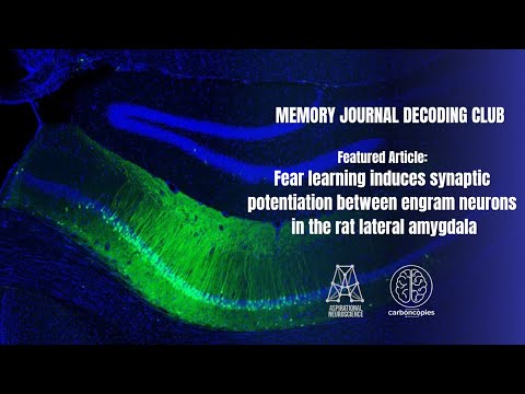 Memory Decoding Journal Club: "Connectomic traces of Hebbian plasticity in the entorhinalhippocampal system recording thumbnail