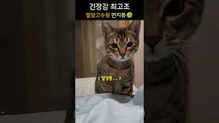 뚝배기마스터 #shorts