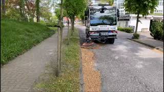 Who can sweep the leaves on the roadside completely and easily