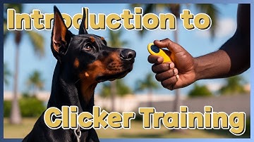 Doberman Introduction to Clicker Training