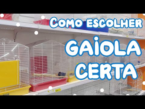 Vídeo: Como Escolher A Gaiola Certa Para Pescar