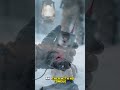 The Dyatlov Pass Incident #shorts #shortsfeed #shortvideo