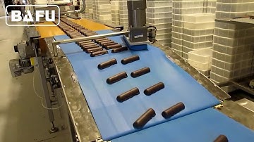 Aligner Feeder Flowpack,automated packaging of bars, automated chocolate packaging line