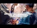 Nephrectomy adrenalectomy  retroperitoneal lymphadenectomy by eric p castle md  full case