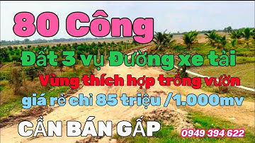 (Số 620) 👉 Bán gấp 80 Công tại xã thạnh trị TX kiến tường / Giá Rẻ Chỉ 85tr/1.000mv LH 0949 394 622