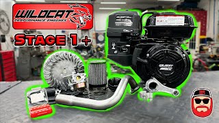 Wildcat 223cc Stage 1+ Ride & Dyno